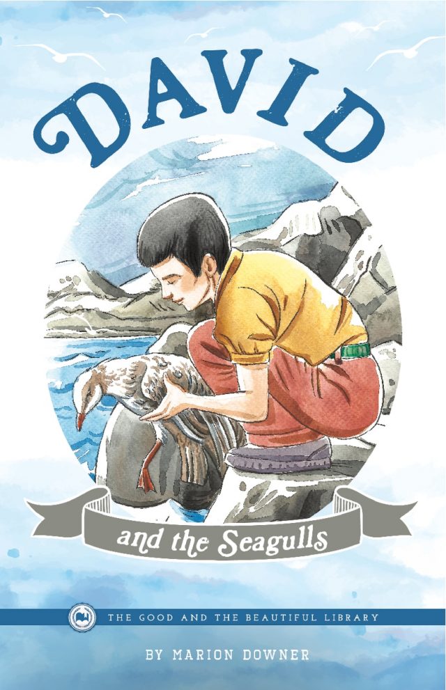 Front Cover David and the Seagulls by Marion Downer - 1B