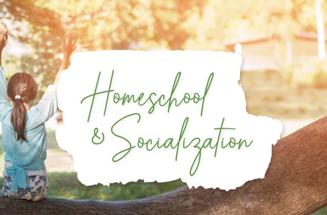 Banner for Homeschool and Socialization Blog Post