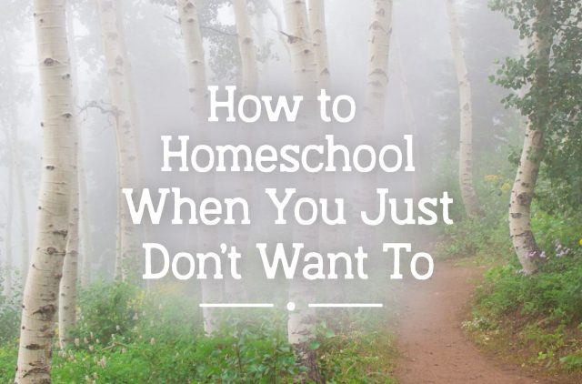 How to Homeschool When You Just Don't Want To Blog Post
