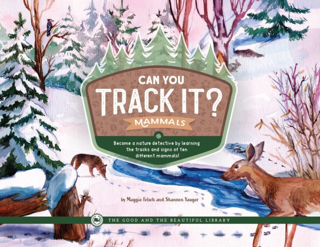 Front Cover Can You Track It? Mammals -1B