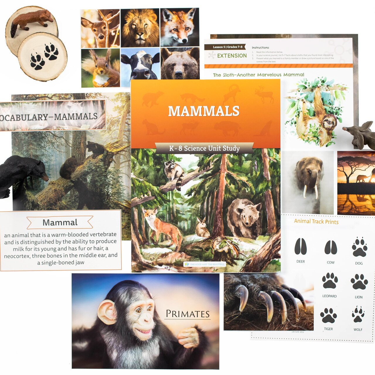 Mammals Science Unit includes activities, experiments, mini books, games, and more!
