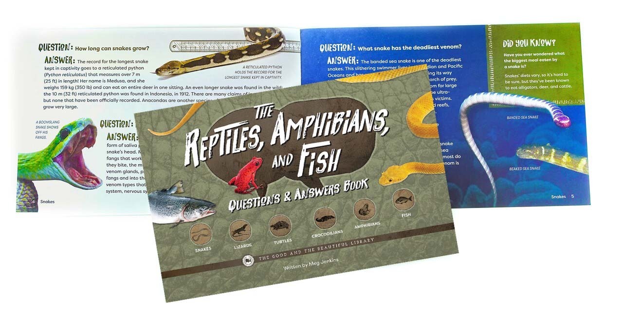Front Cover and Spread The Reptiles, Amphibians, and Fish Question and Answers Book