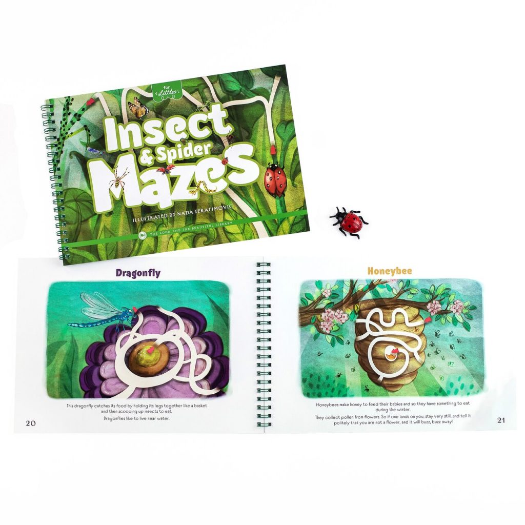 Front Cover and Sample Page Insect and Spider Mazes for Littles
