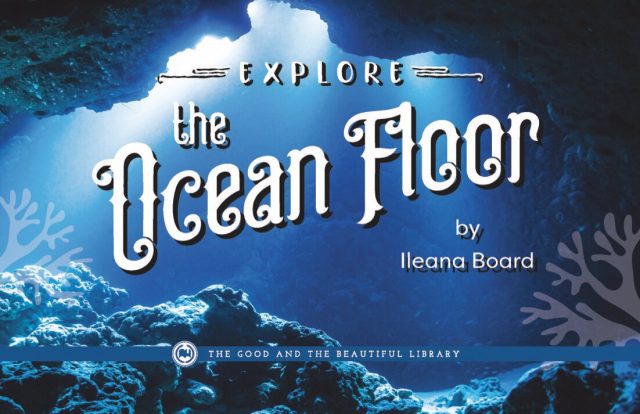 Front Cover Explore the Ocean Floor by Ileana Board