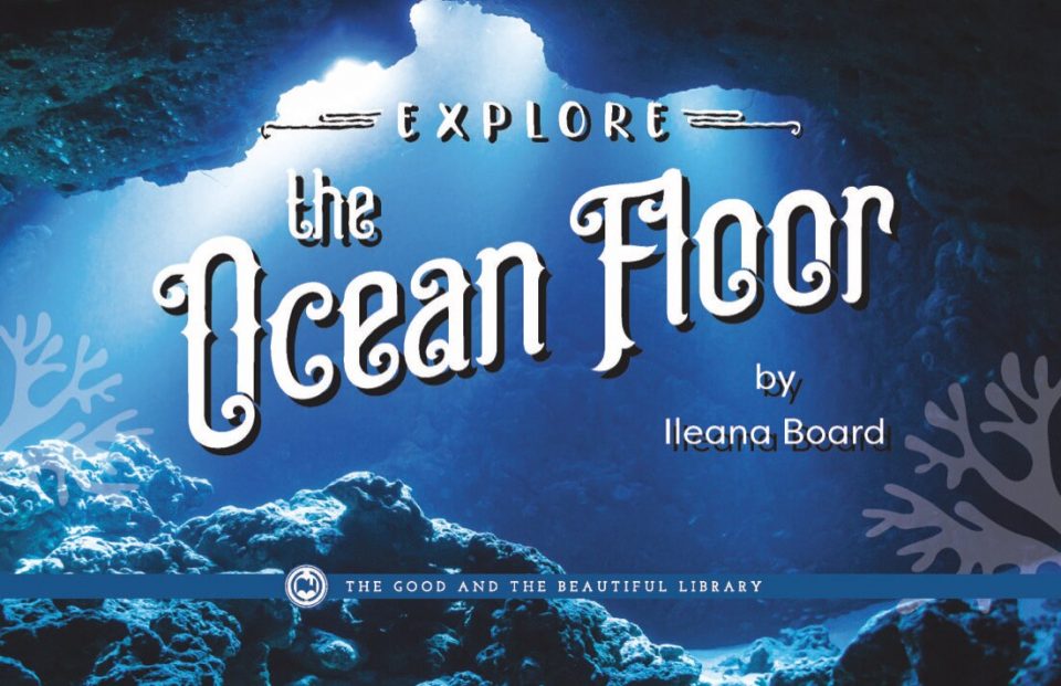 Marine Biology Grades 7-8 Extension Book
Explore the Ocean Floor 