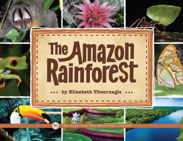 Front Cover The Amazon Rainforest By Elizabeth Thuernagle - 1C