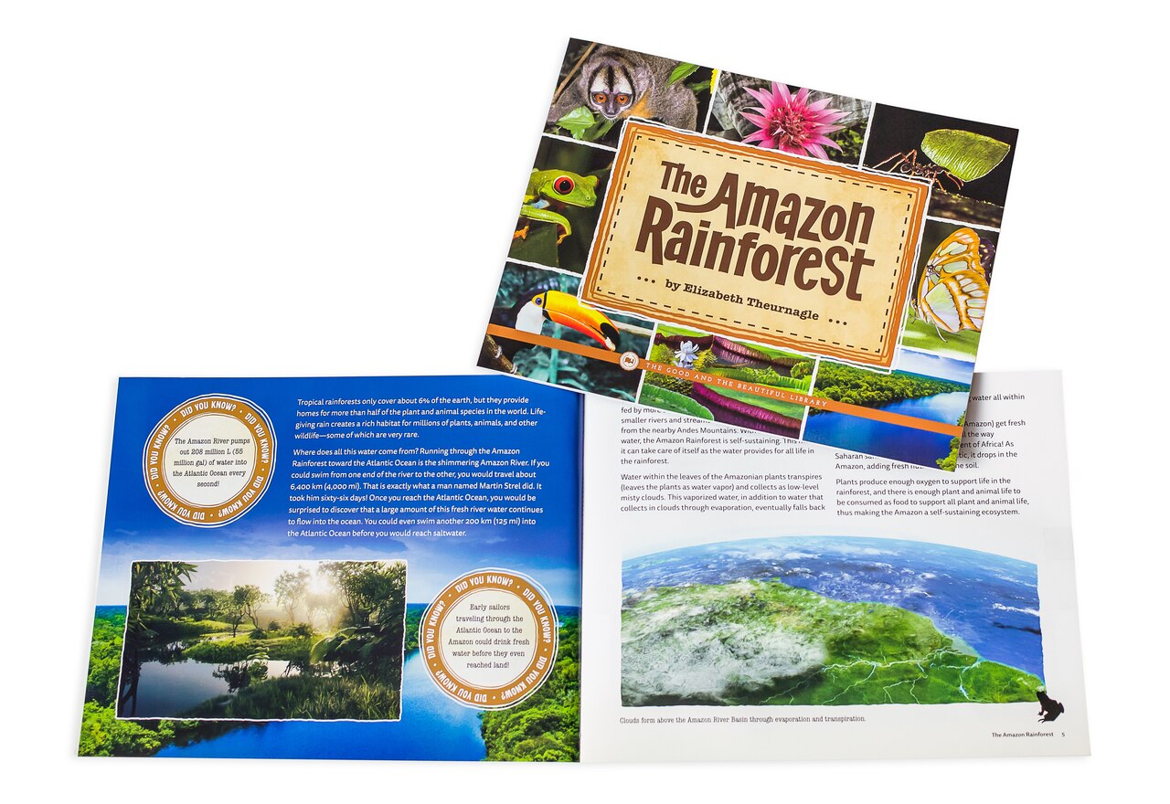 Front Cover and Spread The Amazon Rainforest by Elizabeth Thurnagle - 3A