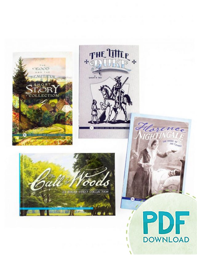 Front Covers High School Year 3 Book Pack - PDF Download
