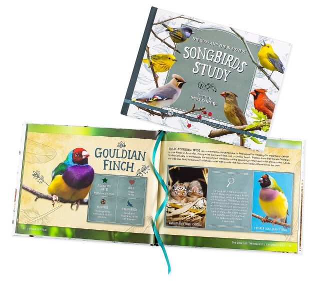 Suggested Itema The Good and the Beautiful Songbirds Study Book by Molly Sanchez Image