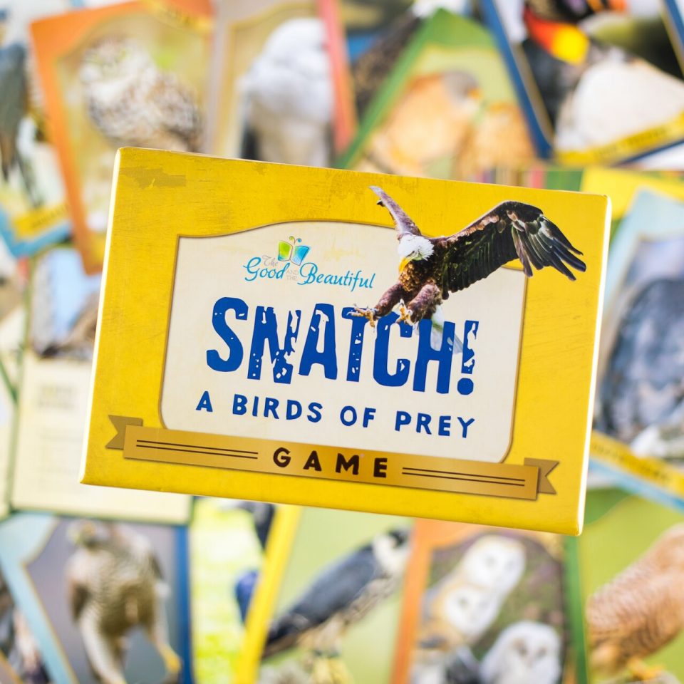 Snatch! A Birds of Prey Game