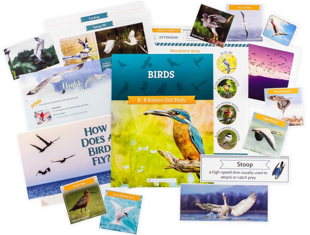 Front Cover and Sample Pages Birds K-8 Science Unit Study