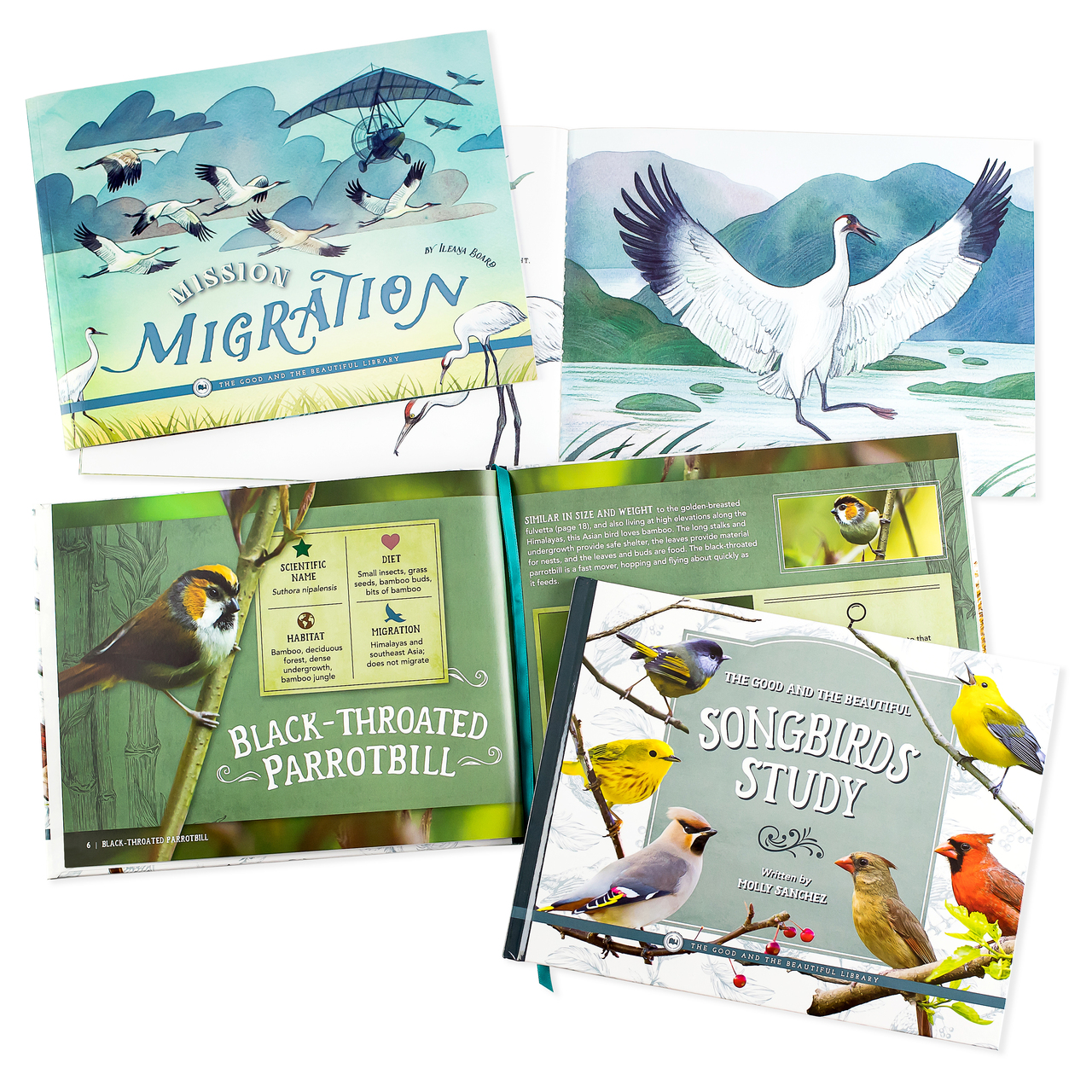 Front Cover and Sample Spread Birds Book Pack