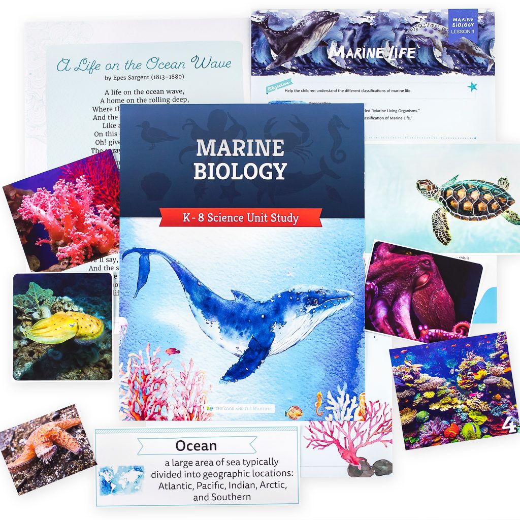 Marine Biology K–-8 Science Unit Study