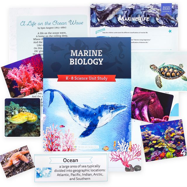 Suggested Itema Marine Biology Image