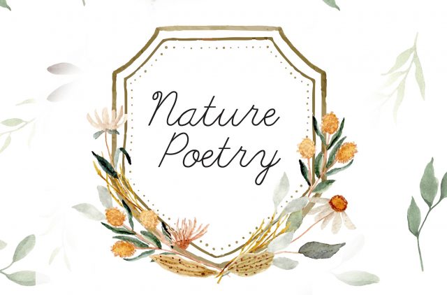 Illustrated Banner for Nature Poetry for Kids Blog Post