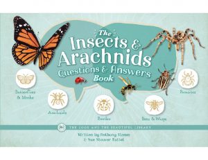 Front Cover The Insects and Arachnids Questions and Answers Book By Anthony Klemm and Sue Steuver Battel 1B