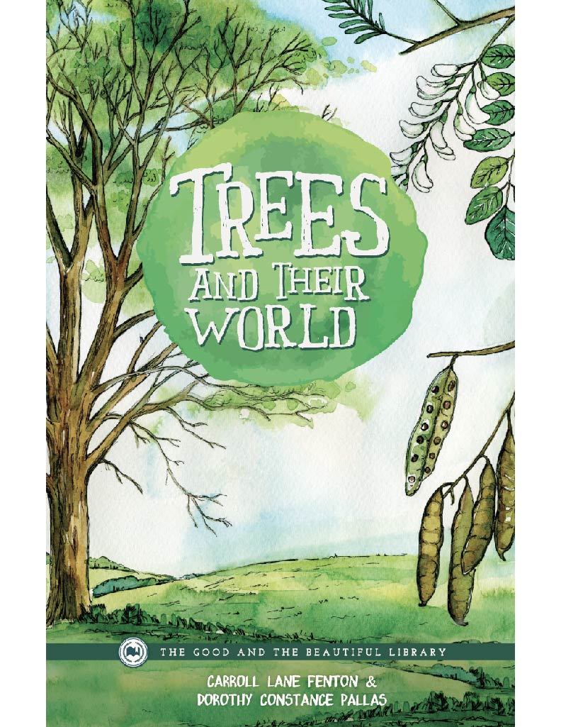 Botany Grades 7–8 Extension Book
Trees and Their World