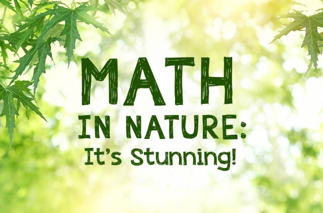 Illustrated Banner for Math in Nature Blog Post