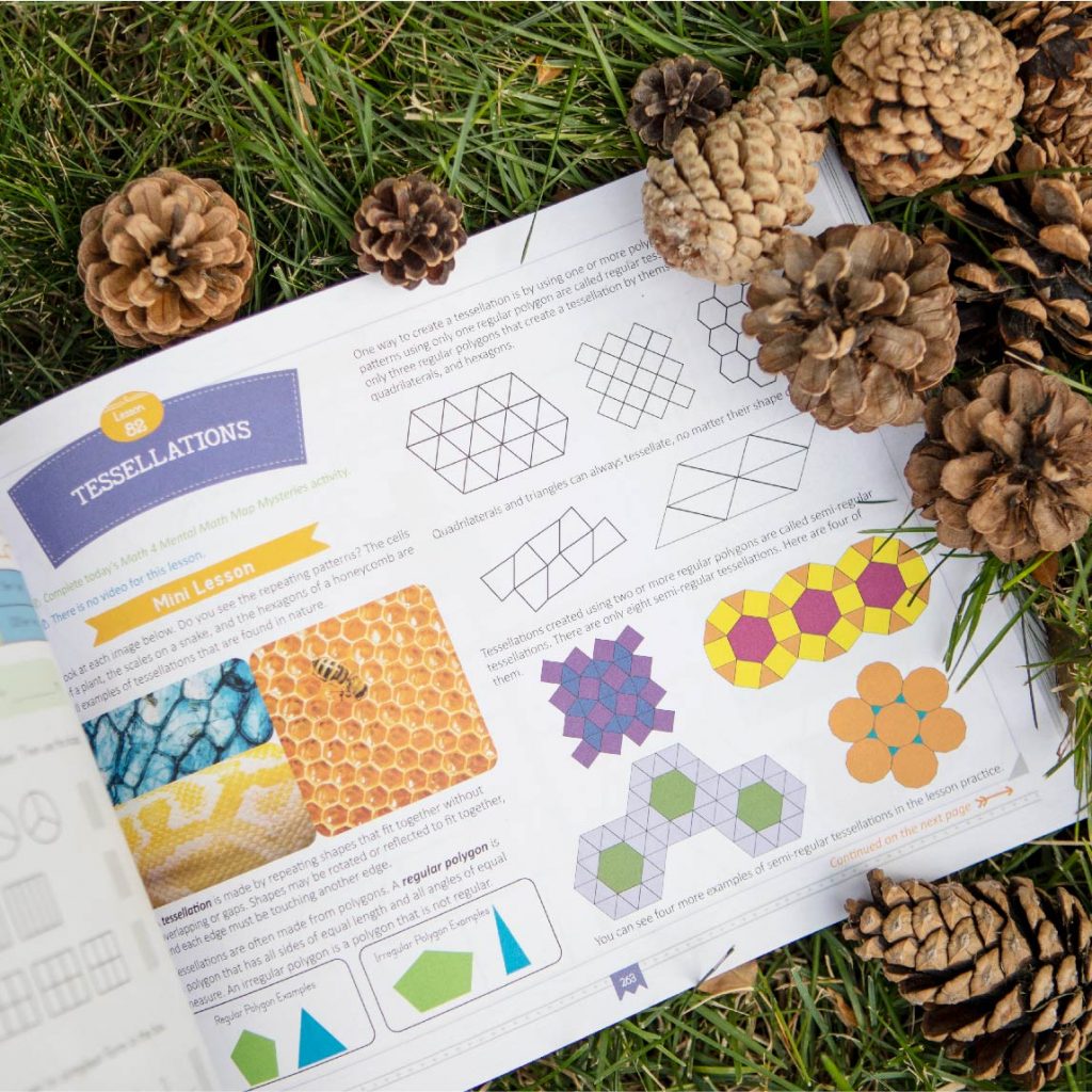 Photograph of Math Course Book in Grass with Pinecones