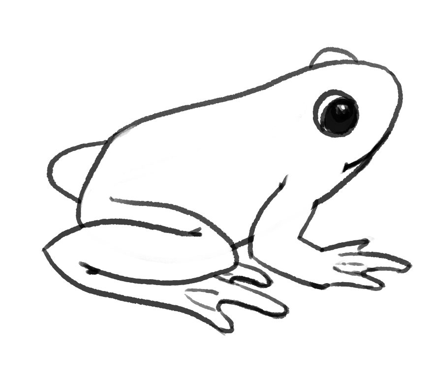 Drawing frog Cartoon Frog