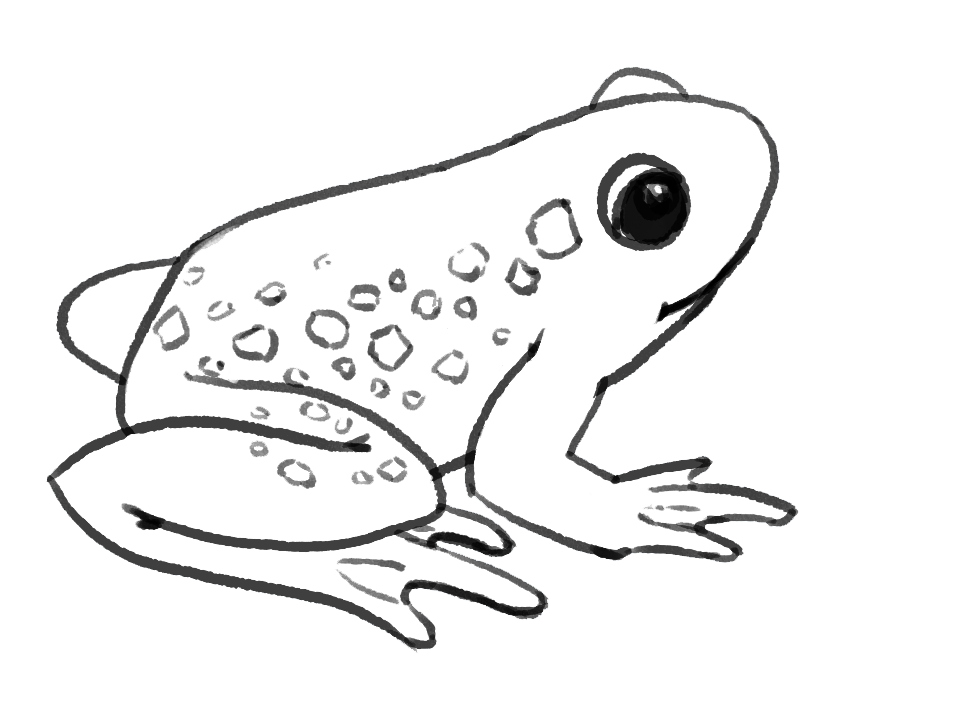 Easy How to Draw a Frog Tutorial and Frog Coloring Page-saigonsouth.com.vn