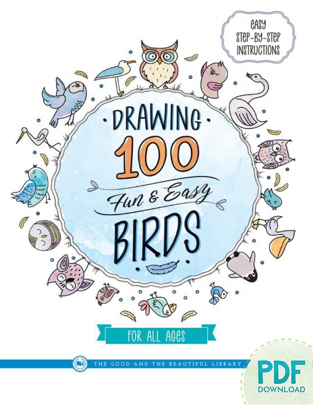 Front Cover Drawing 100 Fun & Easy Birds PDF Download