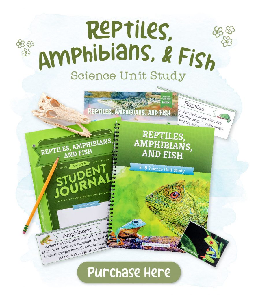 Reptiles, Amphibians, & Fish Science Unit Study Purchase Here Graphic