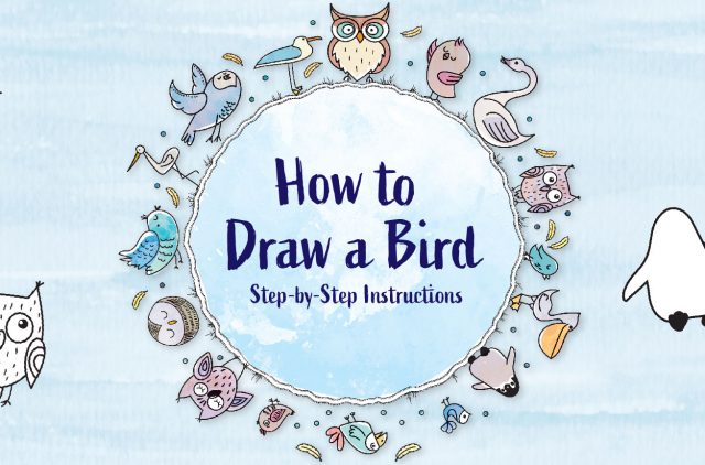 Banner How to Draw A Bird -1B