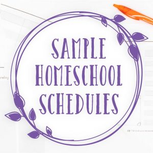 Crafting Excellence: Home Schooling Curriculum Development