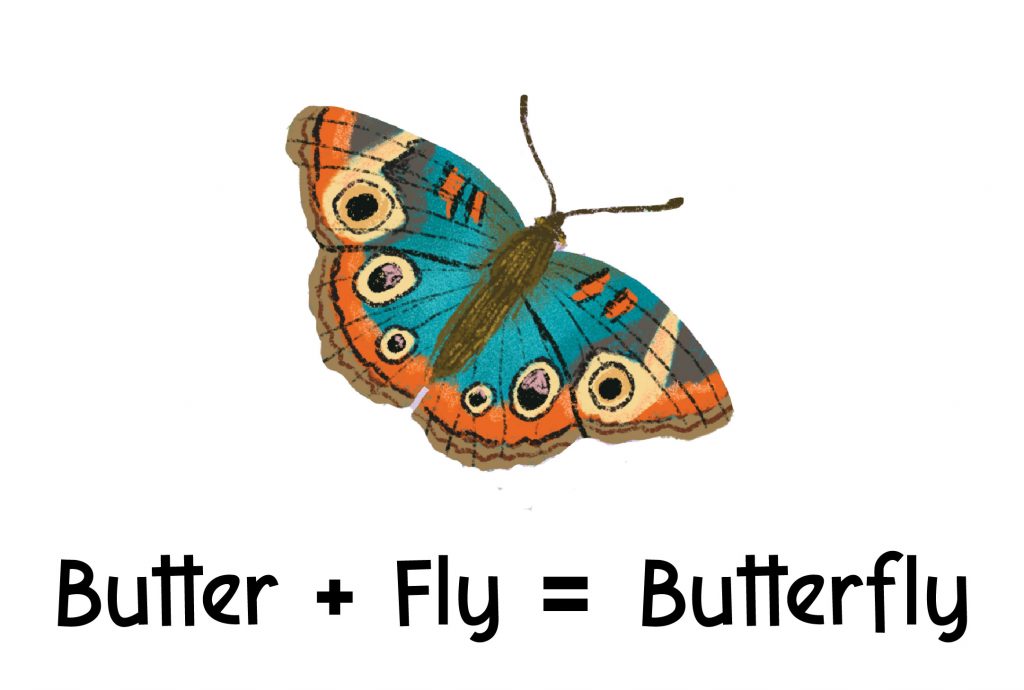 A butterfly image to represent the compound word butterfly.
