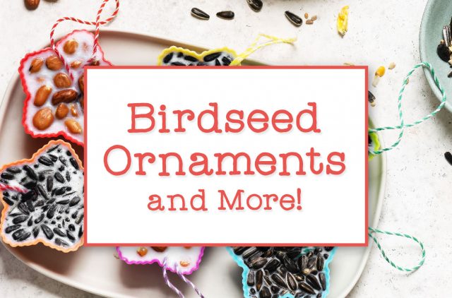 Banner Birdseed Ornaments and More!