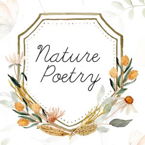 Graphic of Nature Poetry for Kids - 2B