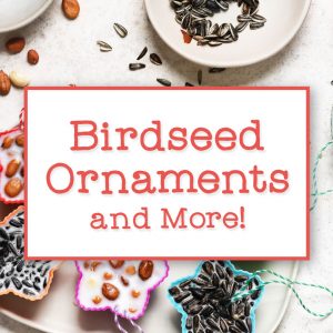 Birdseed Ornaments and More! Square Image