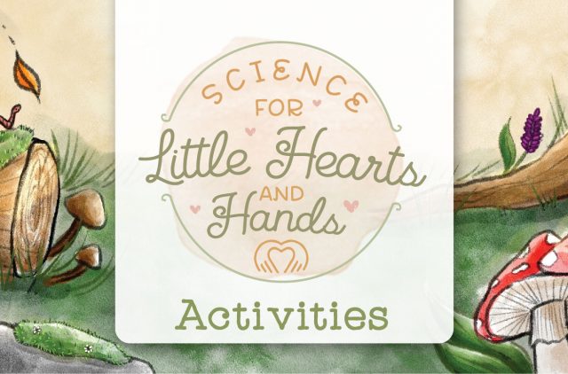 Banner Little Hearts and Hands LHH Activities