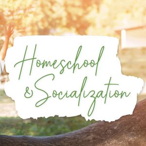 Graphic Homeschool and Socialization