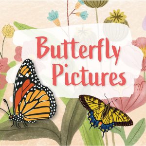 Banner Butterfly Pictures