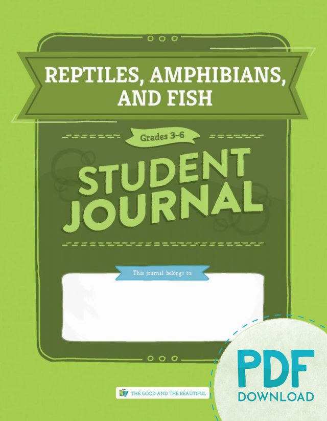 Reptiles Amphibians and Fish Student Journal for Grades 3 to 6 PDF Download Cover