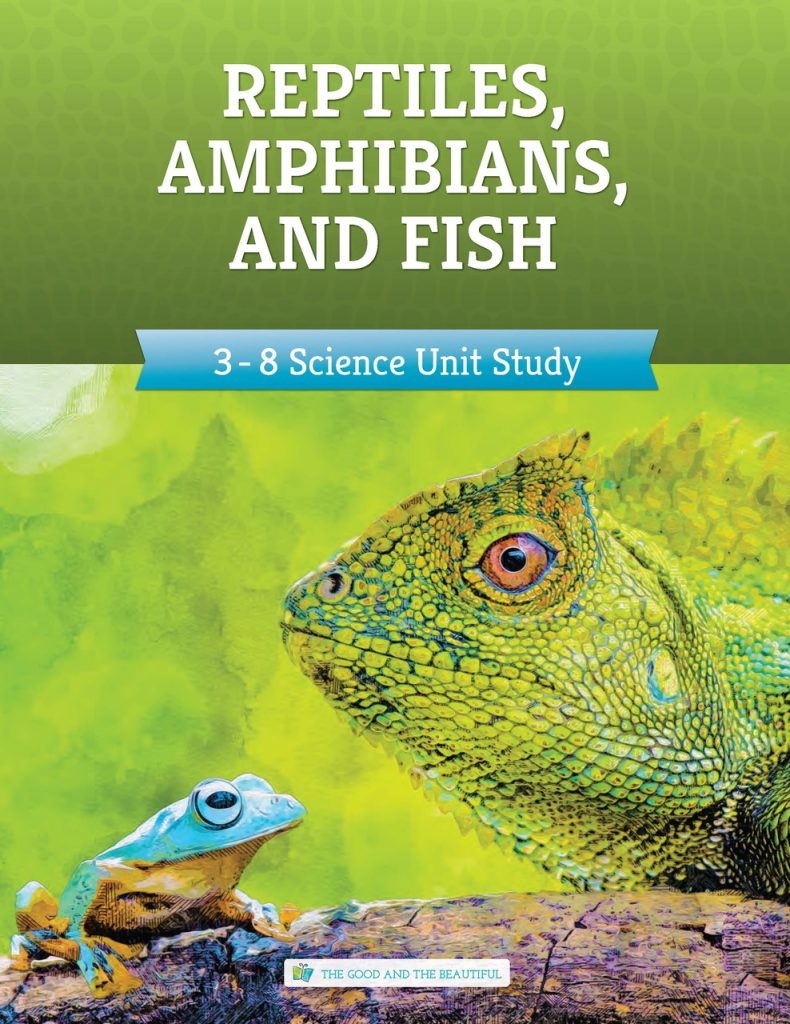 Front Cover Reptiles, Amphibians, and Fish Unit Study 1A