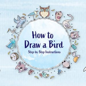 Banner How to Draw A Bird - 1A