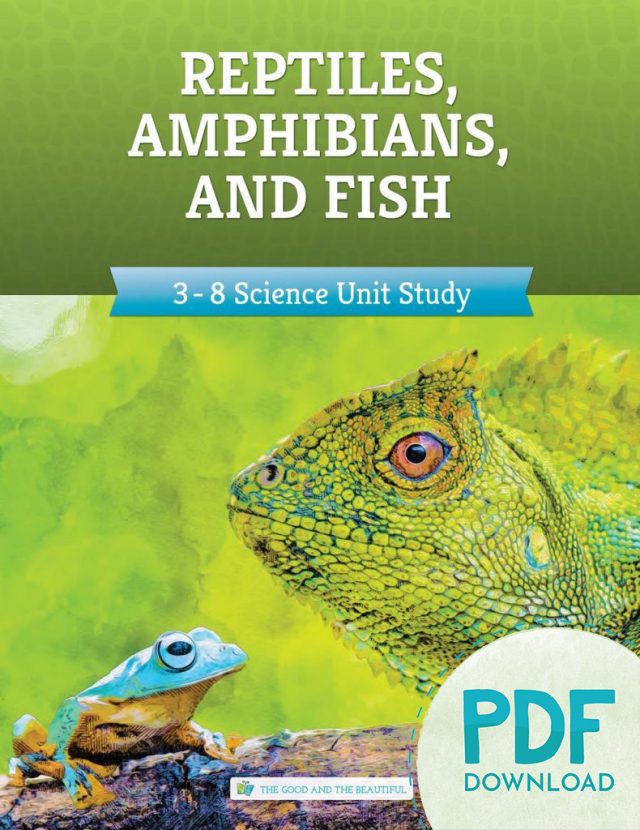 Reptiles Amphibians and Fish Unit Study for Grades 3 to 8 PDF Download Cover