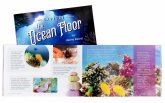Front Cover and Sample Spread Explore the Ocean Floor -2A