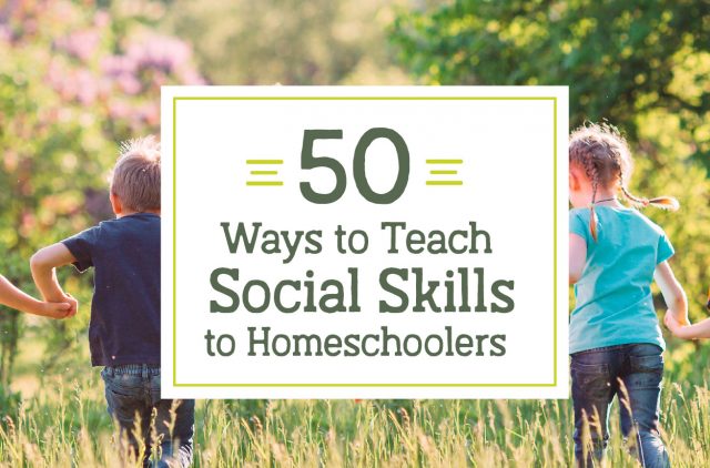 50 Ways to Teach Social Skills to Homeschoolers Blog Post Header with wildflowers