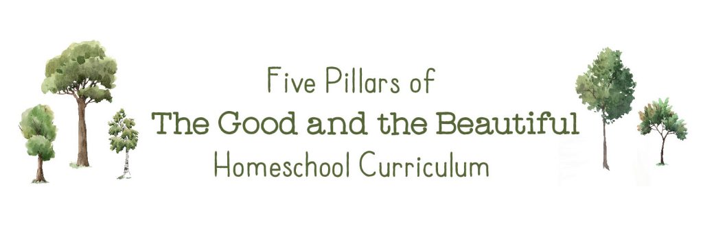Graphic 5 pillars of homeschool curriculum