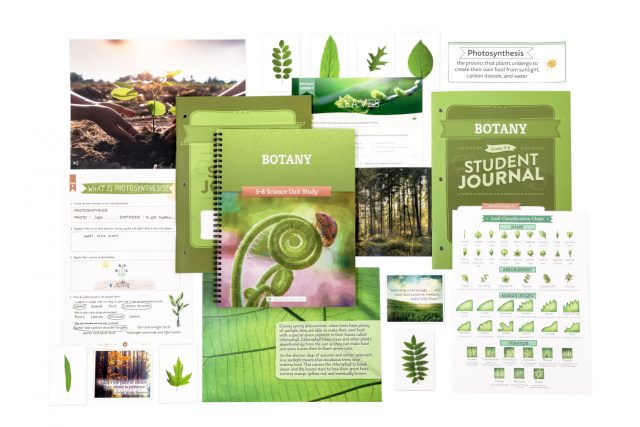Homeschool Botany Science Unit for Grades 3 to 8