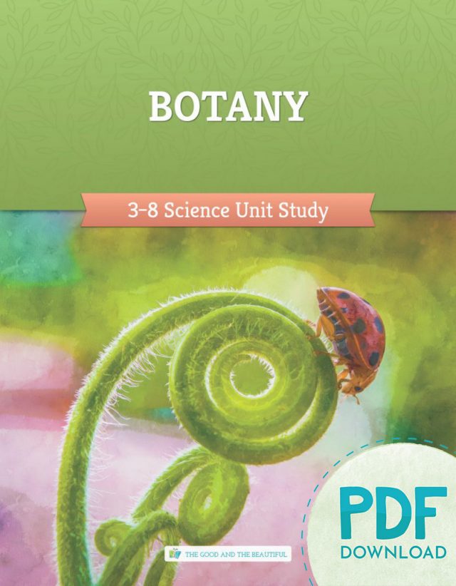 Homeschool Botany Science Unit Study for Grades 3 to 8 PDF Download