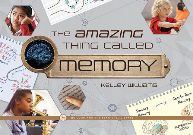 Front Cover The Amazing Thing Called Memory by Kelley Williams