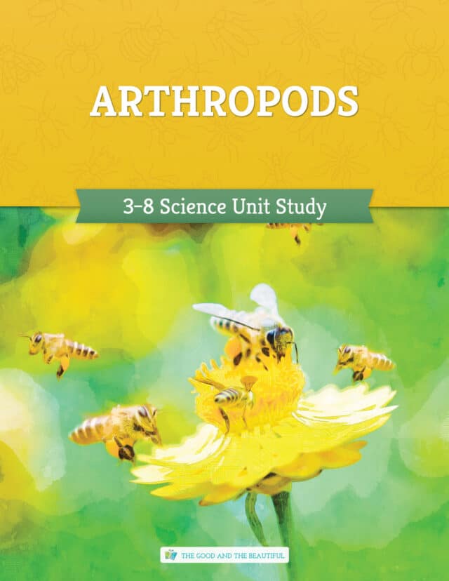 Homeschool Arthropods Science Unit Study for Grades 3 to 8