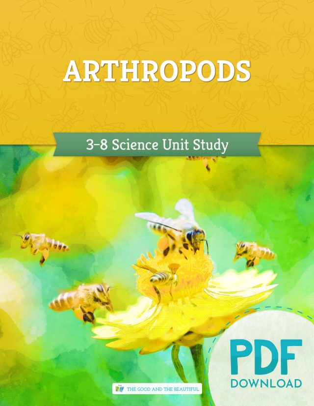 Front Cover Arthropods Science Unit Grades 3-8