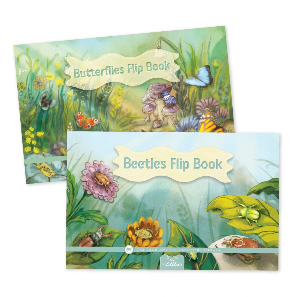 Front Covers of Butterflies and Beetles Flip Books