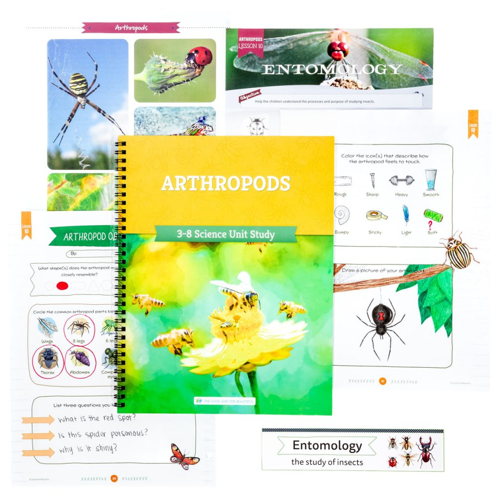 Sample Pages of Arthropods Science Unit